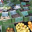 Wochenmarkt Dannenberg (Elbe)