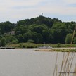 Weinberg in Hitzacker (Elbe)